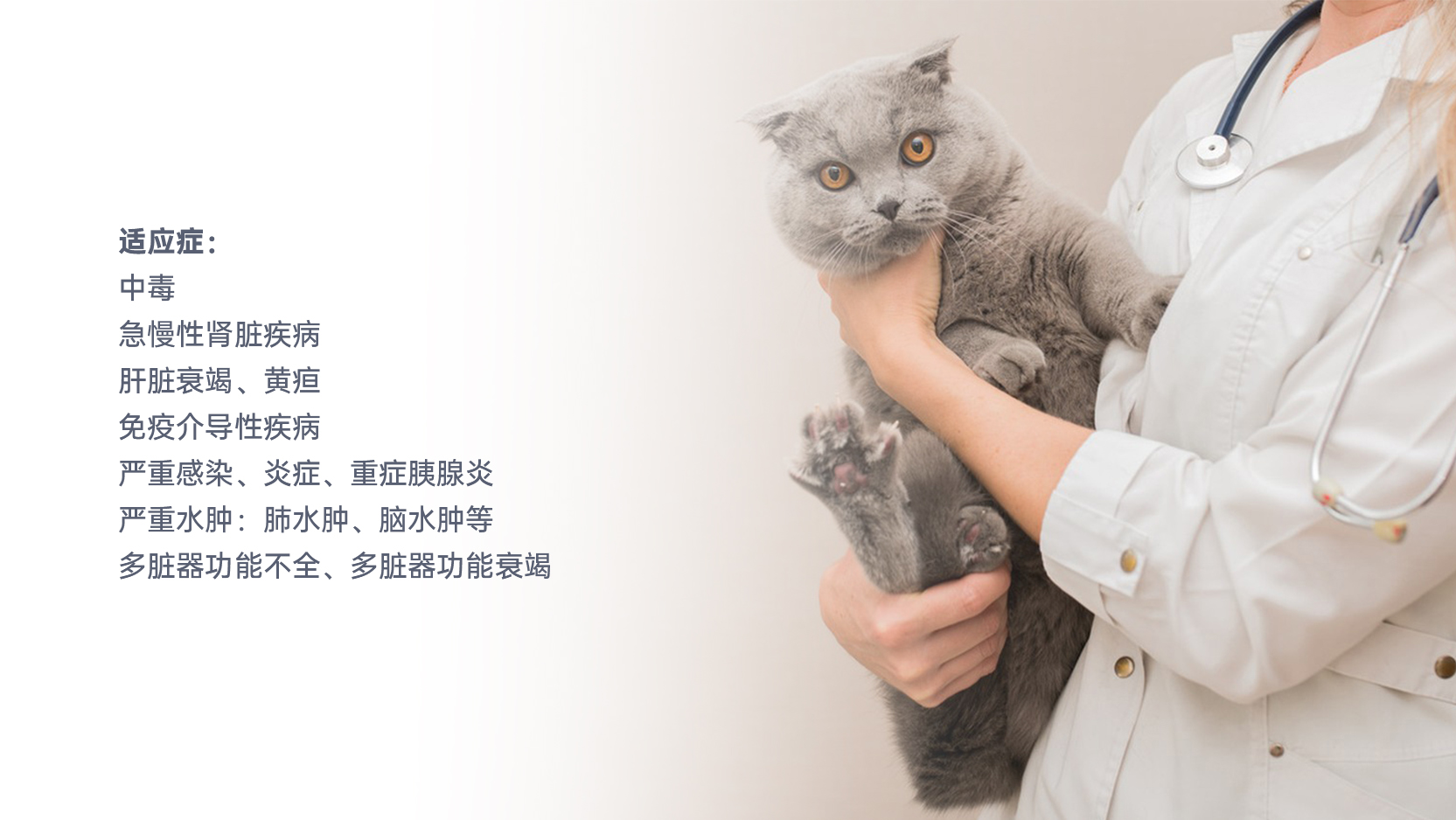 918������(�й���)�ٷ���վ