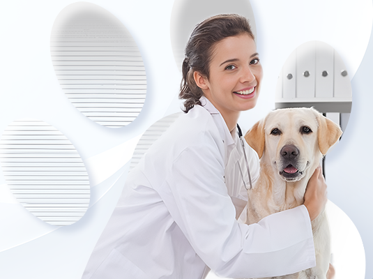 918������(�й���)�ٷ���վ